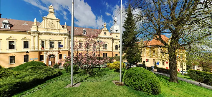Brașov Oraș din Poveste - Brad în Piața Sfatului